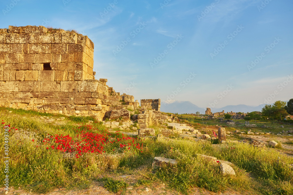 Ruins of the ancient city of Hierapolis and red poppies, Pamukkale