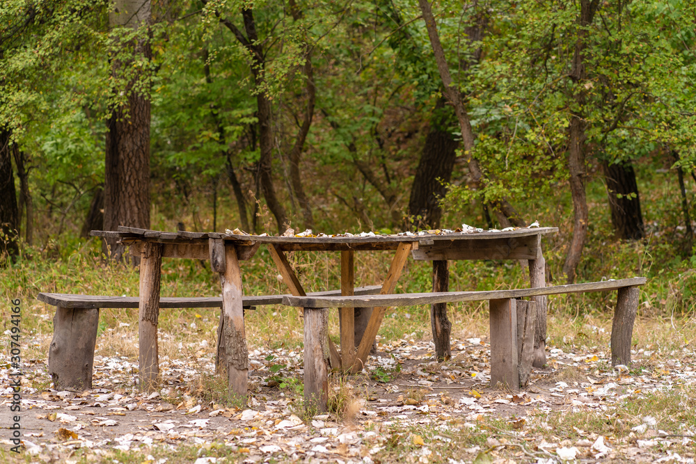 A table and two benches from a rough log house. Recreation area in the forest