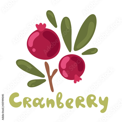 Vector color illustration of cranberry with handwritten lettering name in English on white isolated background. Cute plant. Flat doodle design.
