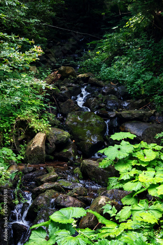 Mountain rivers in the Carpathian mountains