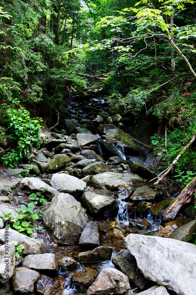 Mountain rivers in the Carpathian mountains