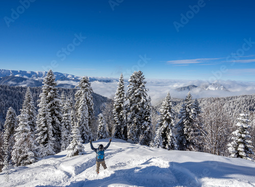 Snowboarder freerider and beautiful landscape with pine trees covered with snow on background blue sky after snowfall on ski resort of the Caucasus mountains