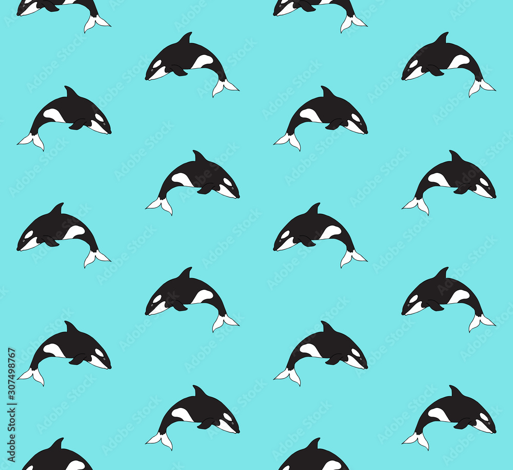 Vector seamless pattern of hand drawn doodle sketch killer whale isolated on mint background