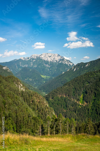 View over valley to mountain Raduha in Kamnik–Savinja Alps © photoflorenzo