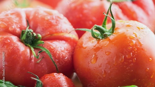 Wet tomato with water drops close-up. Water droplets slowly flow down the tomato. Fresh, ripe seasonal vegetables concept. Organic healthy food
