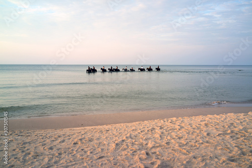 Baltic sea, Poland: July, 2018: horses in the sea near Stilo and Kopalino, 20 km from Leba, photo