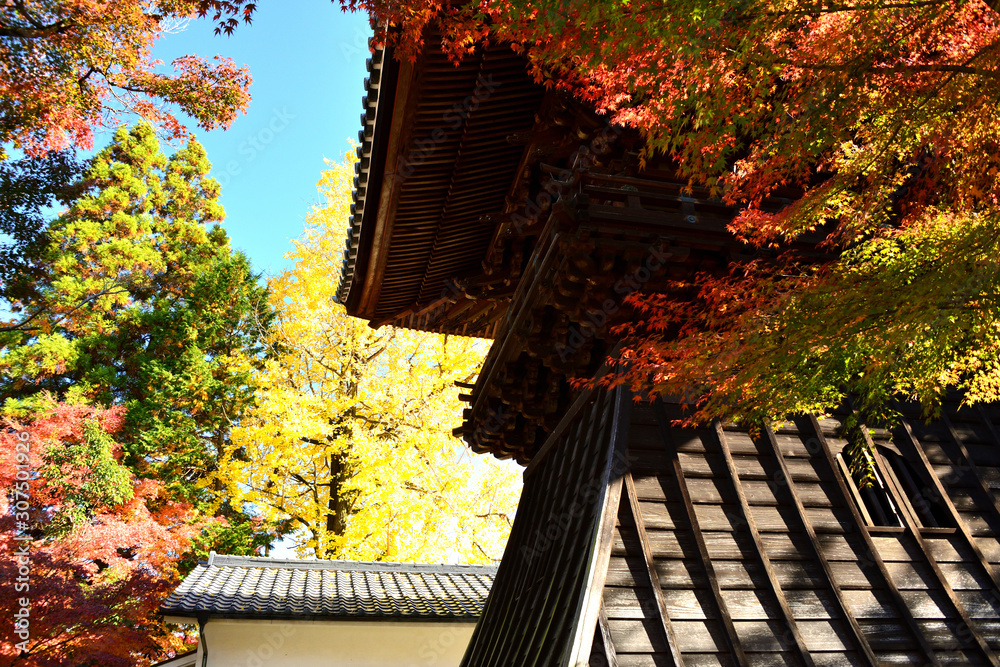 Naklejka premium 虎渓山永保寺