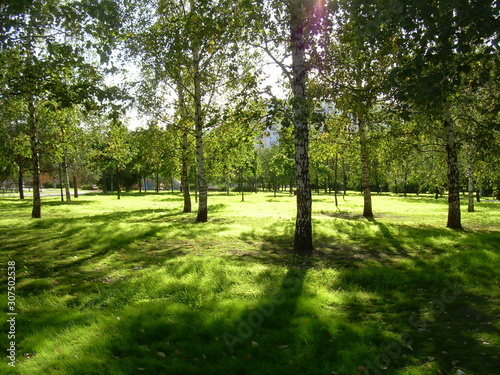  Dusseldorf park 