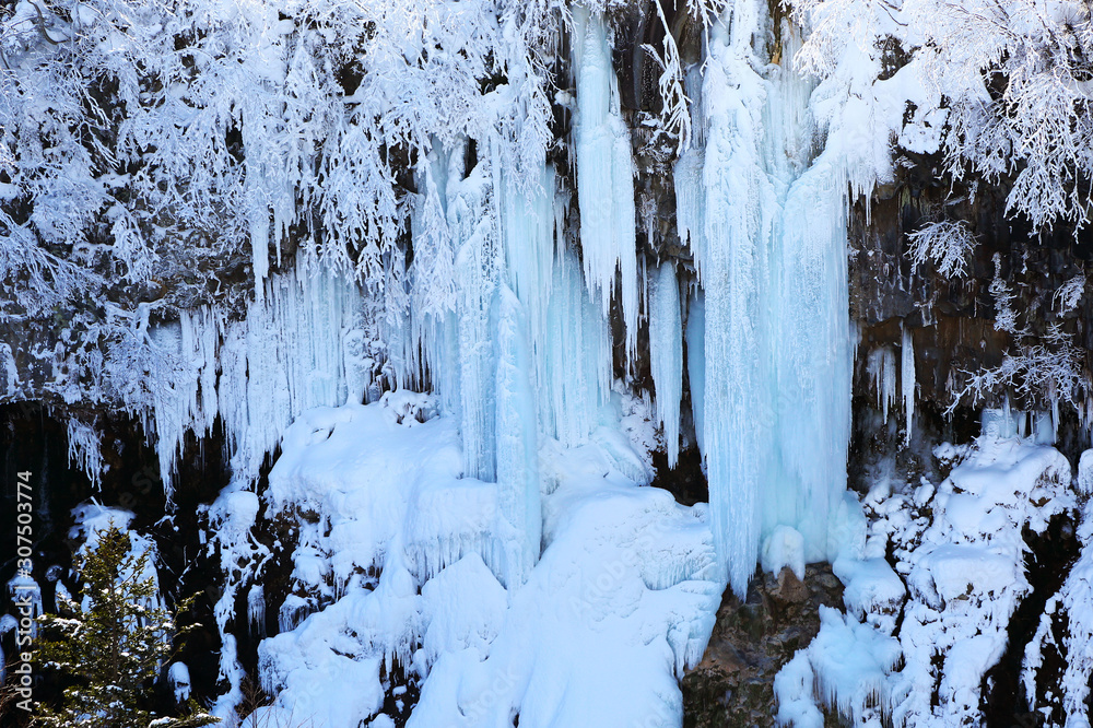Fototapeta premium 冬の白ひげの滝