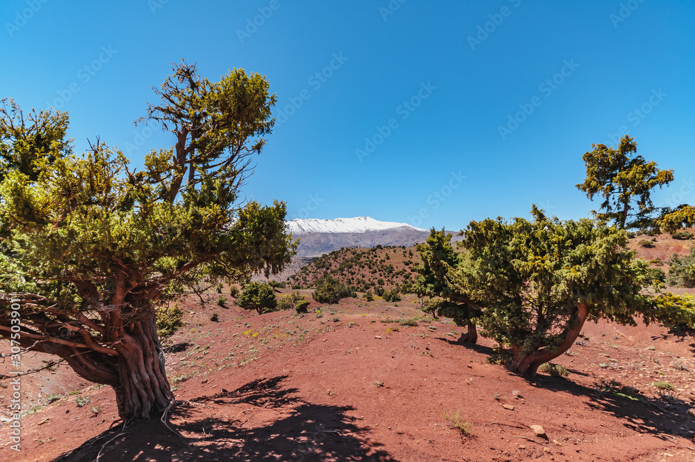 Fototapeta premium Familly trekking in high mountain of the Aït Bouguemez valley in Morocco