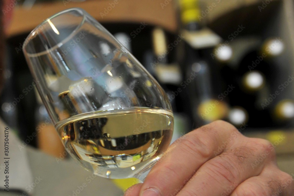 Obraz premium Dégustation de vin blanc