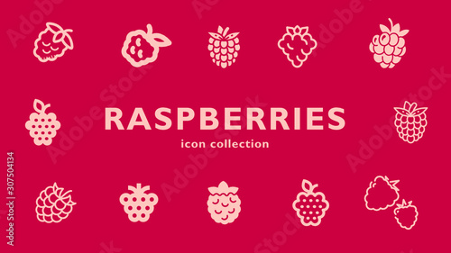 raspberries icon collection (vector fruits)