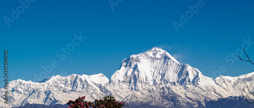 Mountain landscape panorama. Majestic mountain peaks covered with snow against a bright blue sky. © SP Kiran