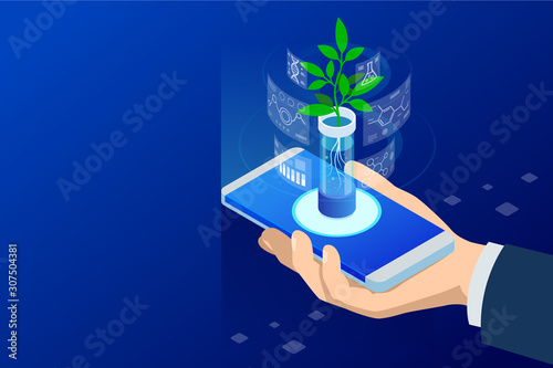 Isometric concept of laboratory exploring new methods of plant breeding and agricultural genetics. Plants growing in the test tubes.