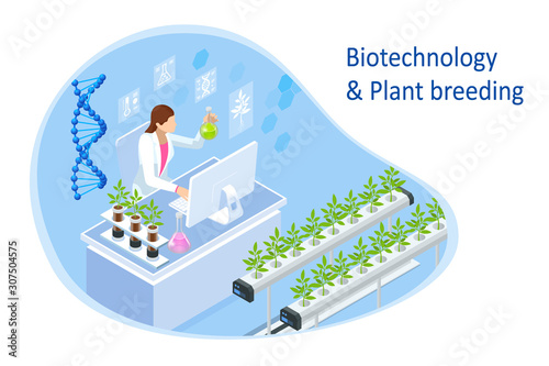 Isometric concept of laboratory exploring new methods of plant breeding and agricultural genetics. Plants growing in the test tubes.