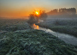 spring river. picturesque foggy sunrise. fog over the river