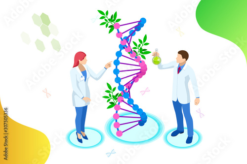 Isometric concept of laboratory exploring new methods of plant breeding and agricultural genetics. Plants growing in the test tubes.