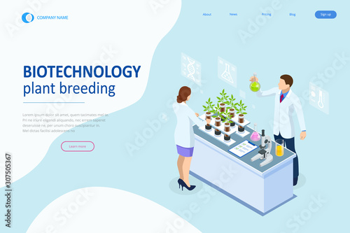 Isometric concept of laboratory exploring new methods of plant breeding and agricultural genetics. Plants growing in the test tubes.