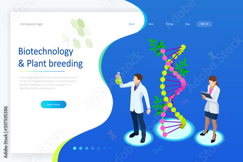 Isometric concept of laboratory exploring new methods of plant breeding and agricultural genetics. Plants growing in the test tubes.