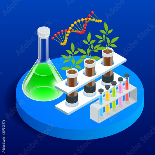 Isometric concept of laboratory exploring new methods of plant breeding and agricultural genetics. Plants growing in the test tubes.