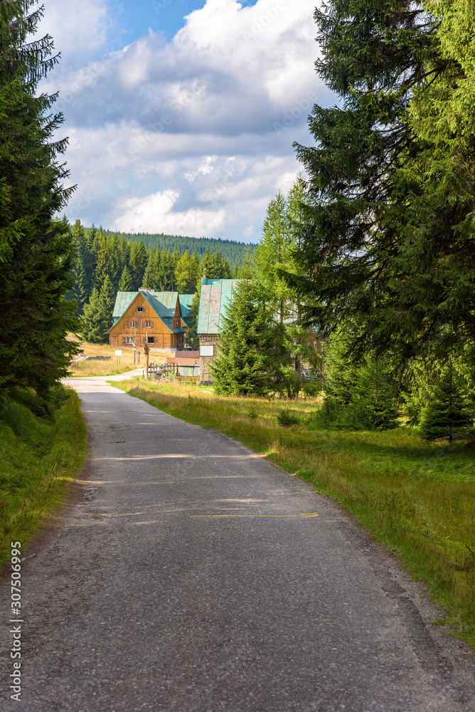 Forest road to Orle shelter in Jizera Mountains