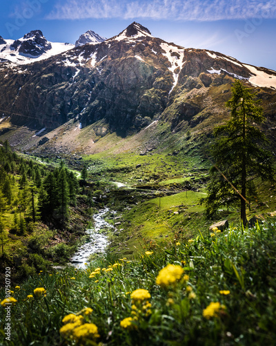 River in Gran Paradiso Italian alps mountains in Graian Alps in Piedmont, Italy with snow capped peaks.