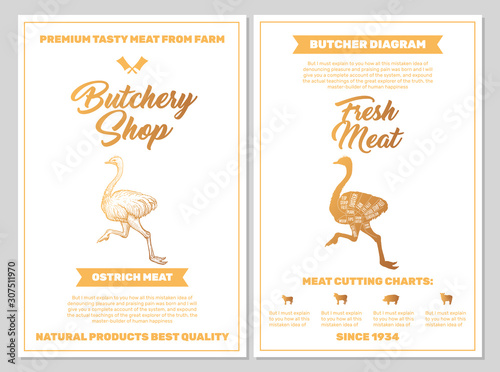 Butchery Shop Poster with Ostrich Meat Cutting Charts in Golden Colors on White Blackground. Vector Vertical Print Templates. Sketch Hand-drawn Farm Animal Illustration. Butchers Guide Diagram Design