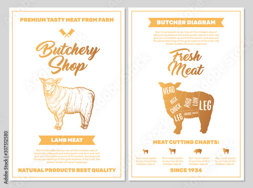 Butchery Shop Poster with Lamb Meat Cutting Charts in Golden Colors on White Blackground. Vector Vertical Print Templates. Sketch Hand-drawn Farm Animal Illustration. Butchers Guide Diagram Design