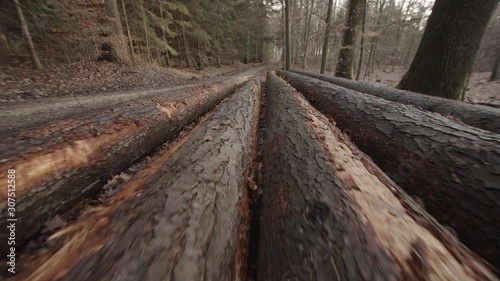 Massive Pine Wood Logs Chopped Down In a Forest Laying By the Road. Stop Deforestation. photo