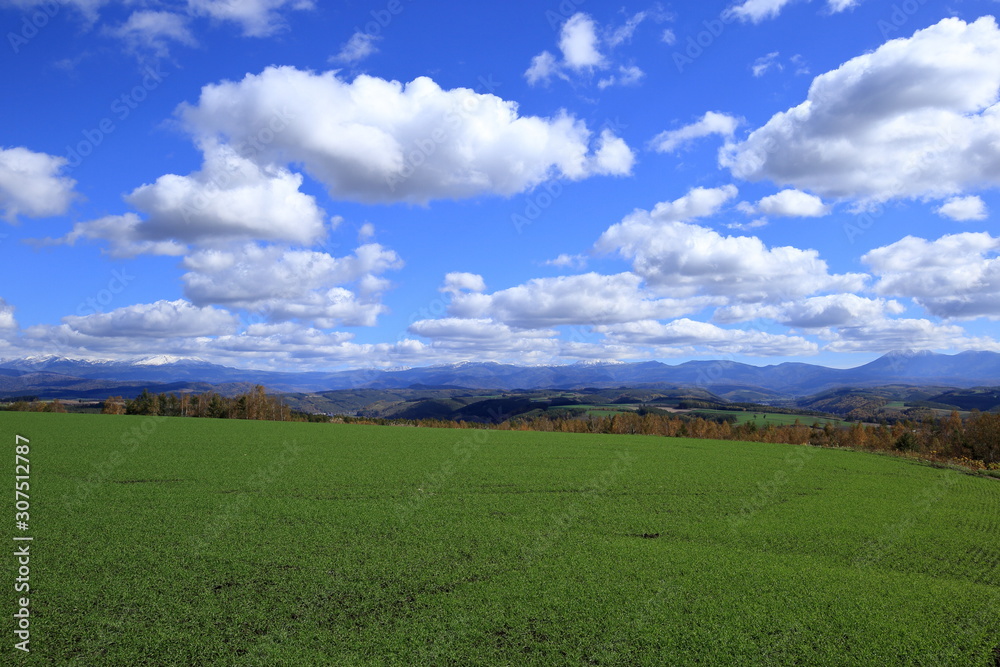 北海道 富良野市 秋の田園風景 ( Autumnal ruralscape at Furano City, Hokkaido, Japan ) 北海道 富良野市 秋の田園風景 ( Autumnal ruralscape at Furano City, Hokkaido, Japan )