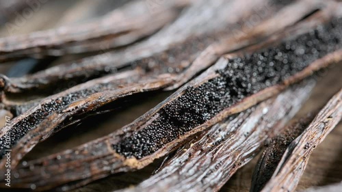 Dried vanilla pods, vanilla sticks macro shooting. Vanilla beans on a green background. Vanilla grains macro shot