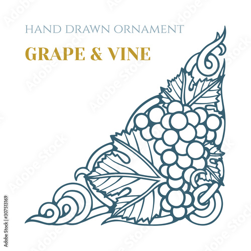 Grape and vine.  Hand drawn grape bunch engraving style illustration. Bunch of grapes sketch drawing corner ornament. Part of set.