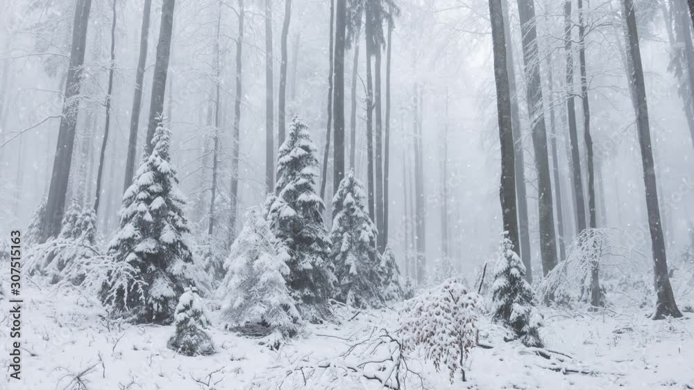 Foggy winter mountain forest landscape with falling snowflakes. Foggy winter mountain forest landscape with falling snowflakes.
