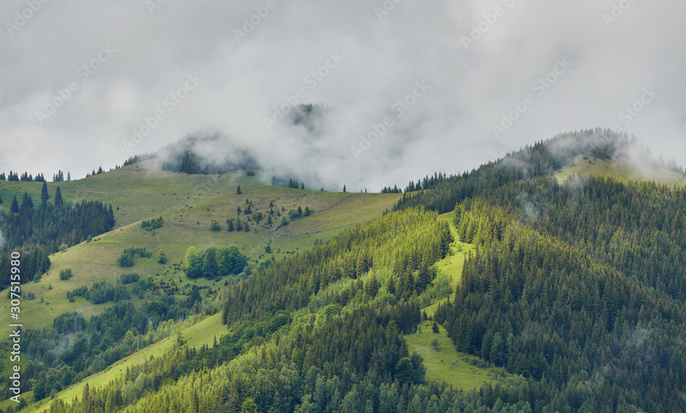 Fototapeta premium mountainous landscape with forested hills. beautiful summer