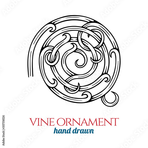 Vine ornament.  Hand drawn vine vintage style vector illustration. Retro style vine sketch drawing engraving style ornament. Part of set.