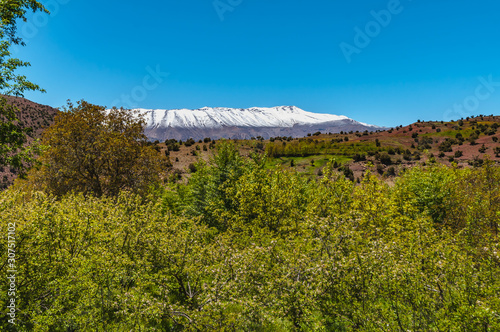 Familly trekking in high mountain of the A  t Bouguemez valley in Morocco