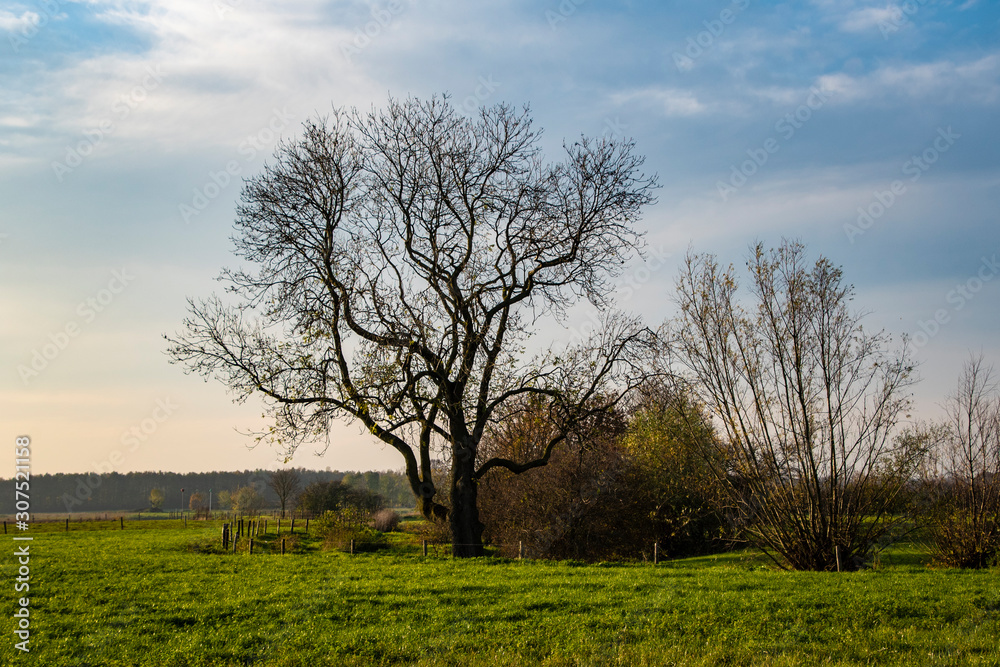 Autumn landscape. Blue sky over an empty field.