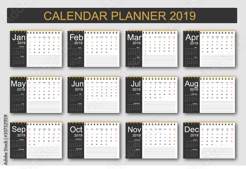 2019 Calendar Planner Design. Monthly scheduler. Week starts on Sunday. Set of 12 months. Vector illustrator.