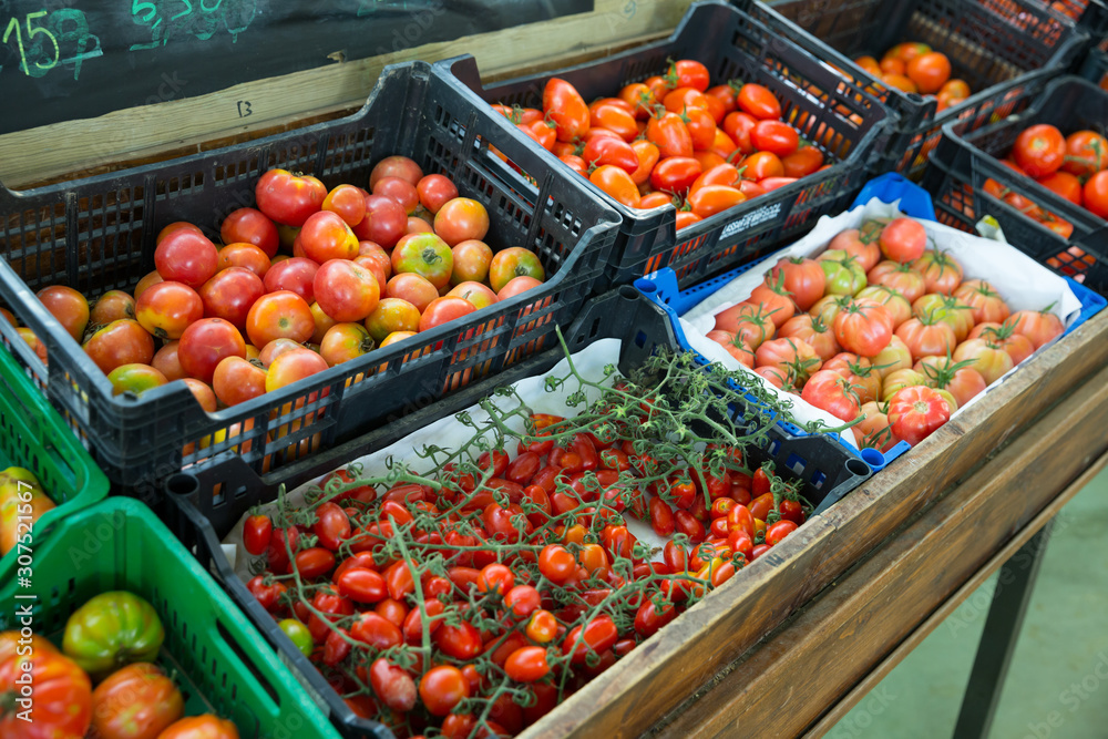 Boxes with tomatoes in grocery store