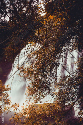 Waterfall in the forest of Sri Lanka photo