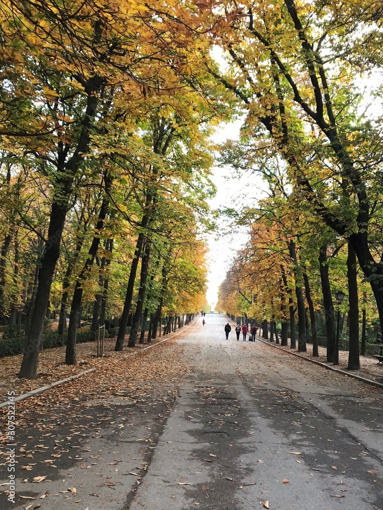 Walking Path in Park
