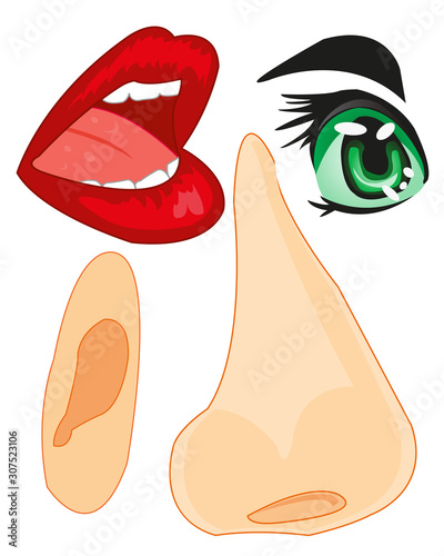 Parts of the person of the person nose,ear and lips and eye