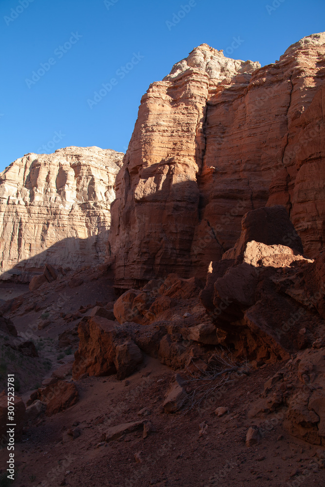 Red cliffs of Khermen Tsav canyon