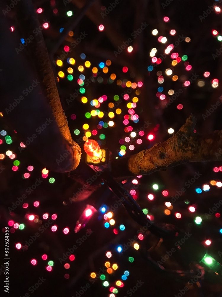 Tree Decorated with Colorful Christmas Lights Background Out Of