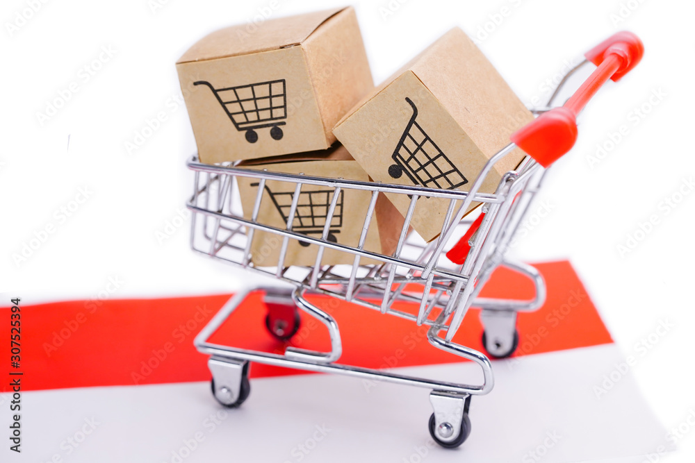 Box with shopping cart logo and Indonesia flag : Import Export Shopping online or eCommerce finance delivery service store product shipping, trade, supplier concept..