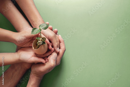 hands holding seedling in eggshells, montessori education , CSR social responsibility, Eco green sustainable living concept,zero waste, plastic free,world environment day, responsible comsumption