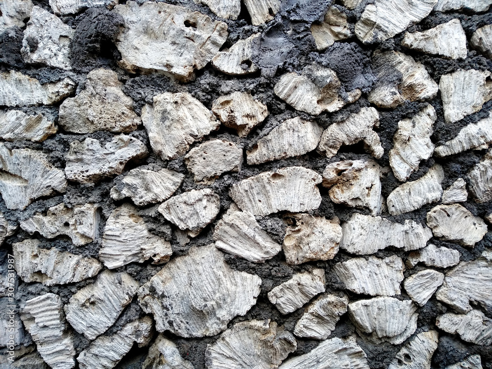 Obraz premium Background with stone. Wall texture can be used as a wall frame and wall background. Dirty and Old coral wall texture background.