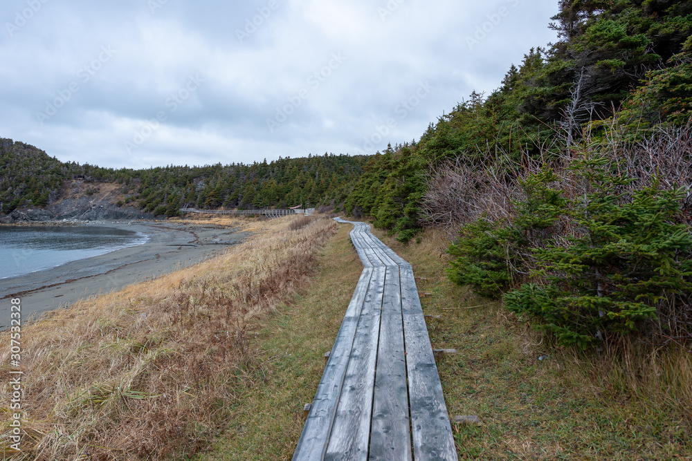 Wooden boardwalk on a hiking trail near the ocean.