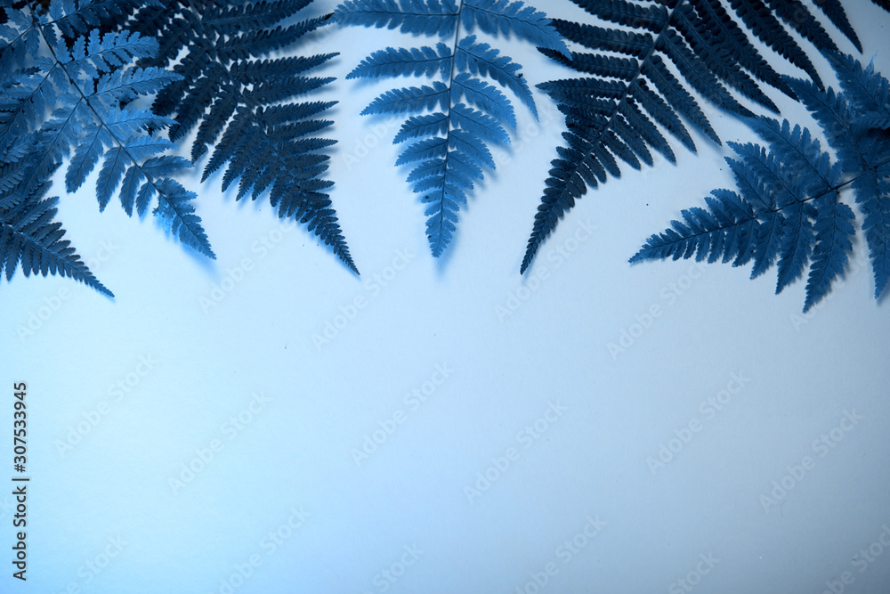 Fern leaves on a neutral background, a place for your project, a place for an inscription.
