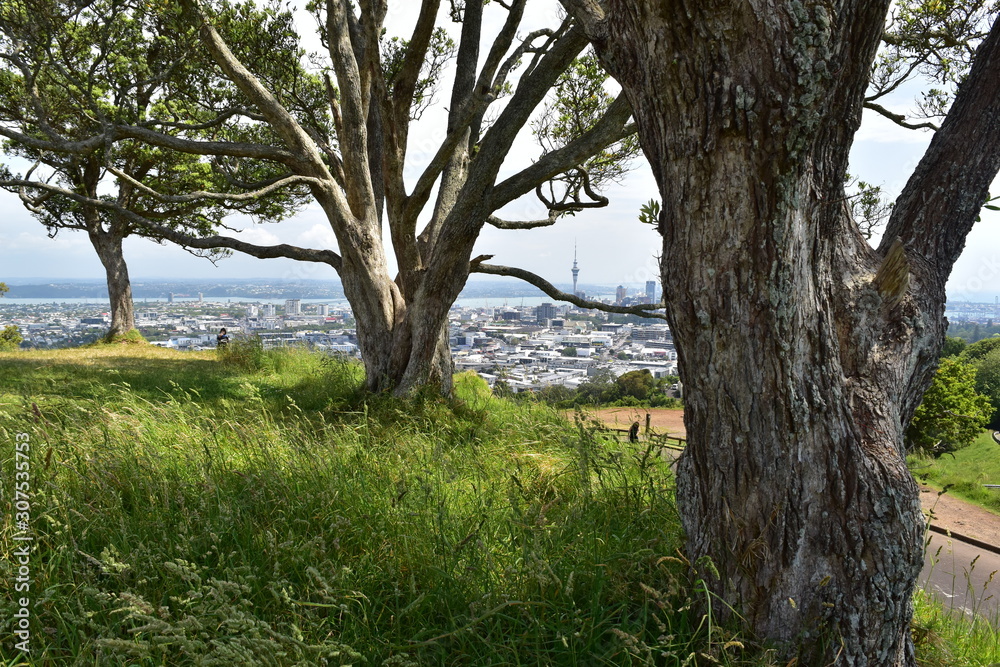 A different perspective on Auckland city centre A different perspective on Auckland city centre